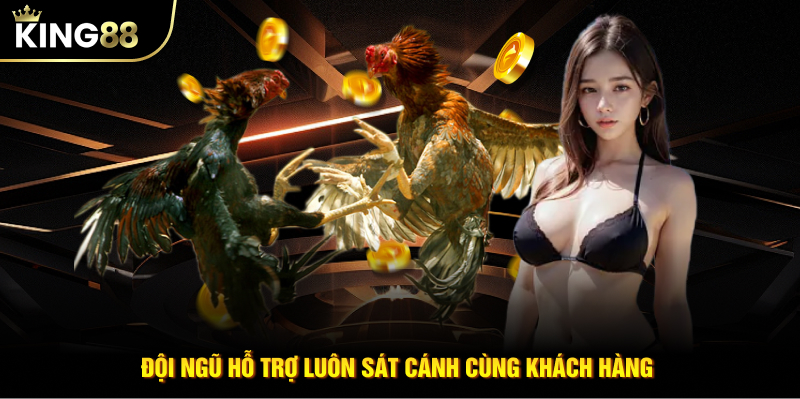 Đội ngũ hỗ trợ luôn sát cánh cùng khách hàng